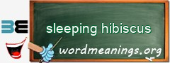 WordMeaning blackboard for sleeping hibiscus